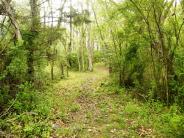 Town of Shenandoah, VA Big Gem Park Photo: J. Fluharty