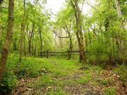 Town of Shenandoah, VA Big Gem Park Photo: J. Fluharty