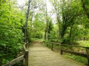 Town of Shenandoah, VA Big Gem Park Photo: J. Fluharty