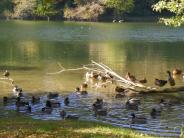 Town of Shenandoah, VA Shenandoah River Park Photo: J. Fluharty