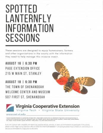 Spotted Lanternfly