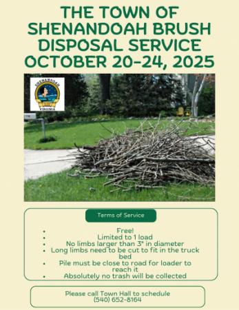 Brush Disposal Flyer